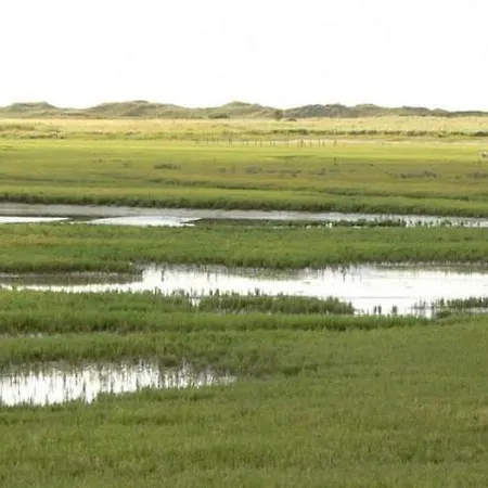 De Zunneblomme شقة